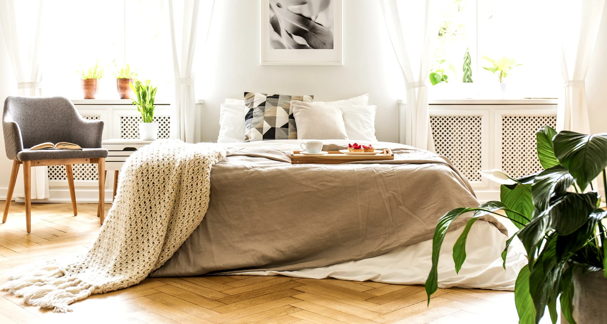 Breakfast on Bed in Room